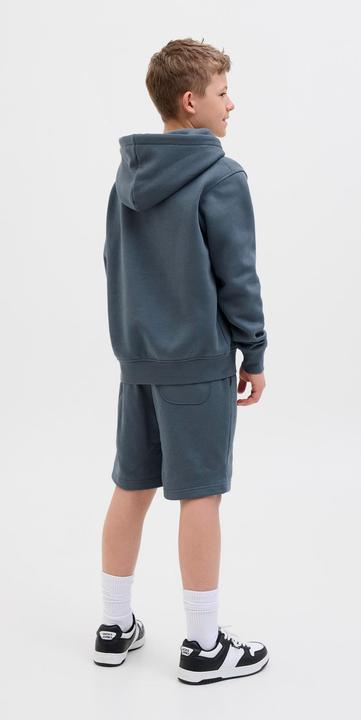 Actual product image Jack & Jones Jpstvesterbro Sweat Shorts Gms Sn Jnr (140)