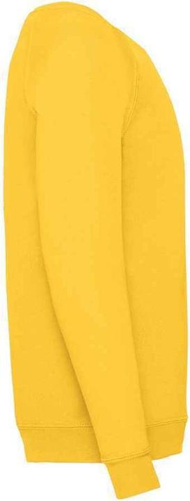 Immagine prodotto Fruit of the Loom Felpa Classico Raglan Bambini (164, 170)
