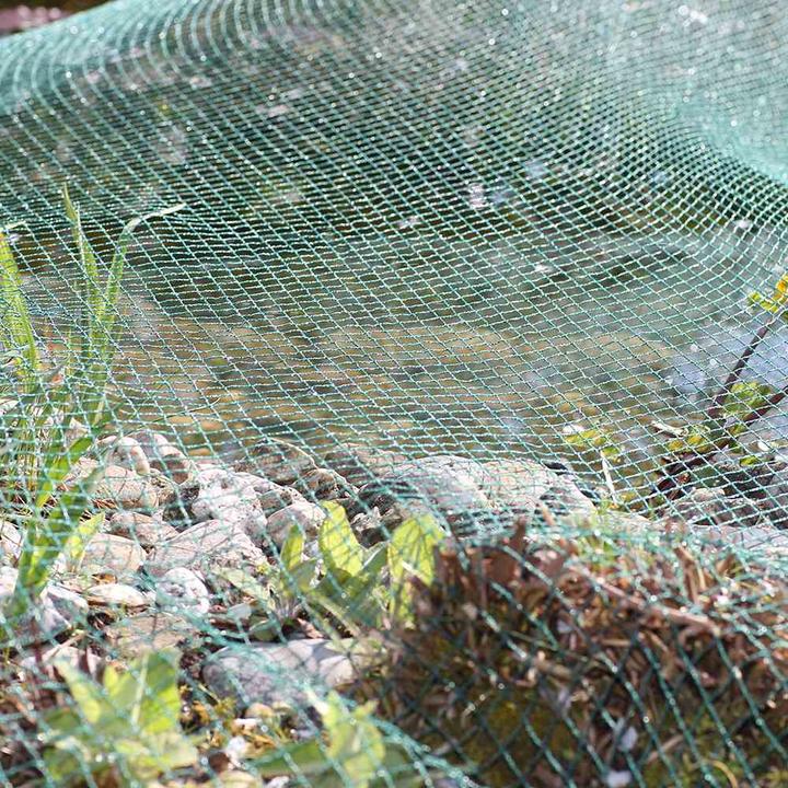 Actual product image Siena Garden Pond cover net