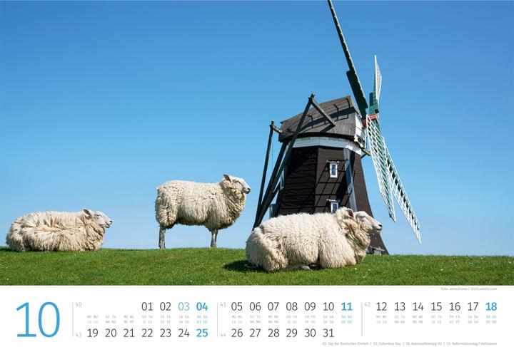 Actual product image Schafe Kalender 2026 (45 x 33 cm, Hardcover, German, French, Italian, English)