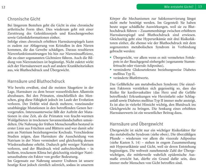 Produktbild Die richtige Ernährung bei Gicht (Deutsch, Ibrahim Elmadfa, 2017)
