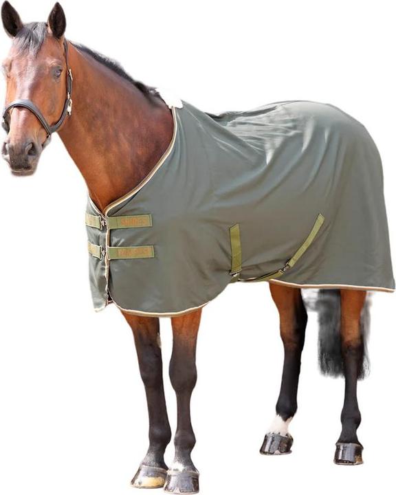 Tempest Original Pferde Stalldecke