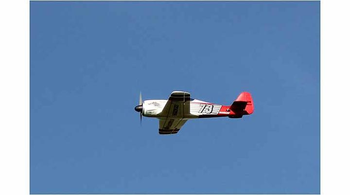 Image du produit Multiplex Race Wulf (Oiseau de guerre)