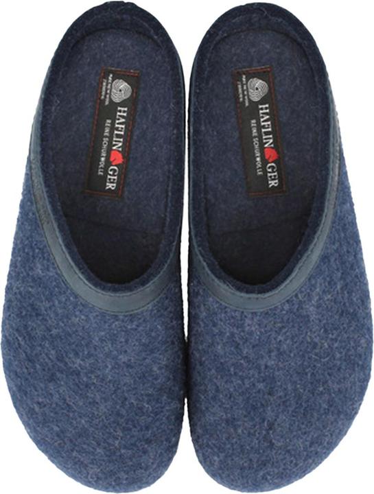 Actual product image Haflinger Torben / Grizzly (50)