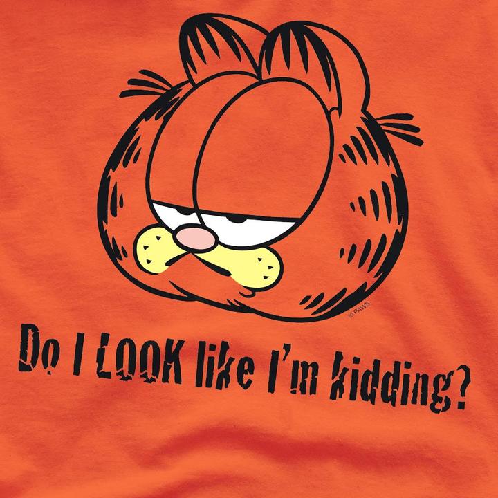 Produktbild Garfield Do I Look Like I'm Kidding TShirt (3XL)