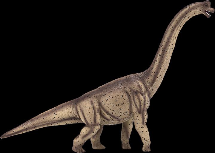 Produktbild small foot Brachiosaurus