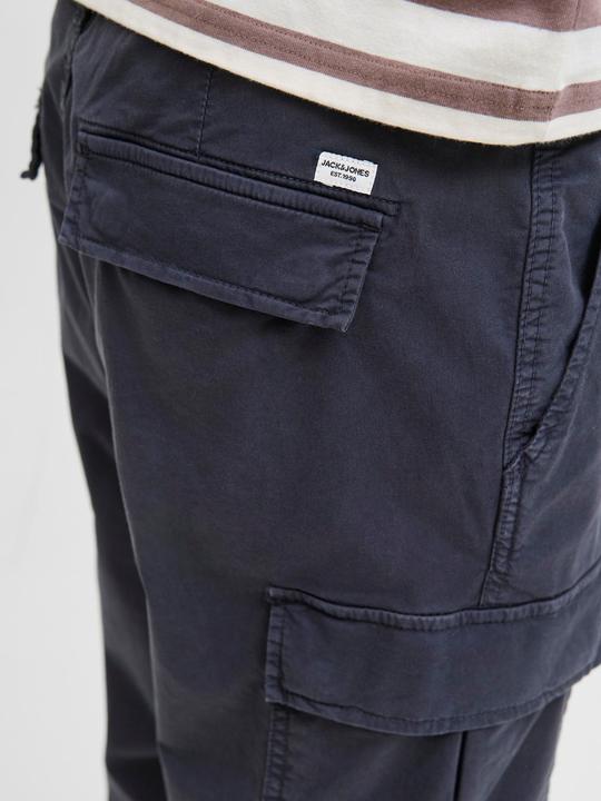 Actual product image Jack & Jones Tapered Fit Cargo-Hose Cargo-Hose (Frequency band 38 (2600 MHz))