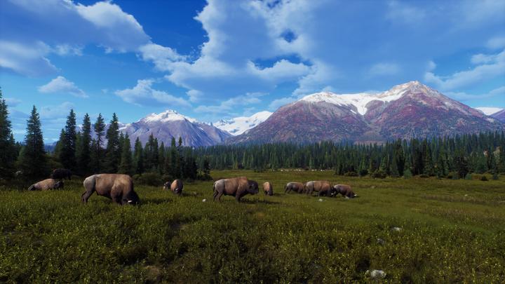 Actual product image THQ Way of the Hunter - Wild Expeditions (Xbox Series X, EN)