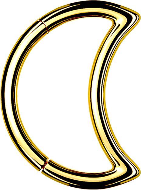 Actual product image Star Piercing Micro segment ring hinged gold plated moon (Surgical steel 316L, without brass)