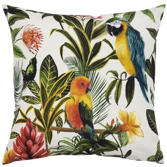 Evans Lichfield Pappagallo (43 x 43 cm)
