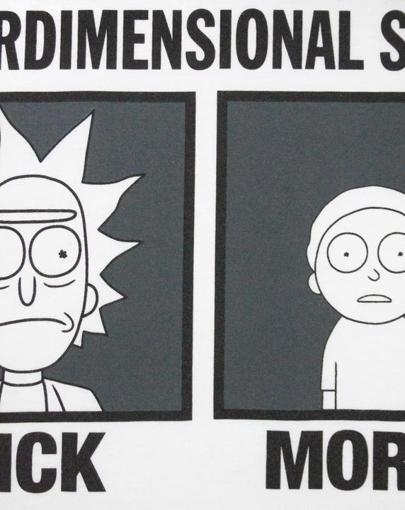 Actual product image Rick And Morty Tshirt (L)