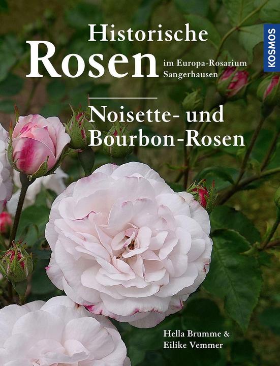Produktbild Kosmos Historische Rosen im Europa Rosarium Sangerhausen: Noisette- und Bourbon-Rosen (Deutsch, Hella Brumme, Eilike Vemmer, 2023)