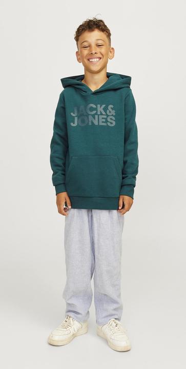Produktbild Jack & Jones Jjecorp Logo Sweat Hood Noos Jnr (140)