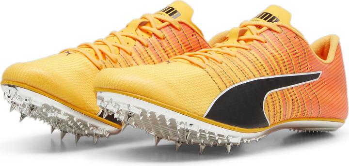 Actual product image Puma evoSPEED BRUSH 6 (42.5)