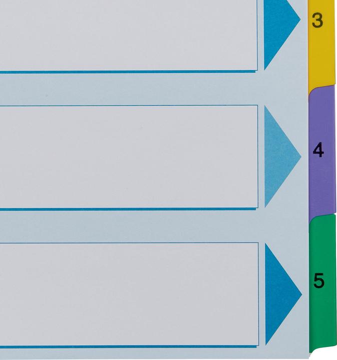 Produktbild Esselte Karton-Register Mylar, verschiedene Ausführungen, einzeln