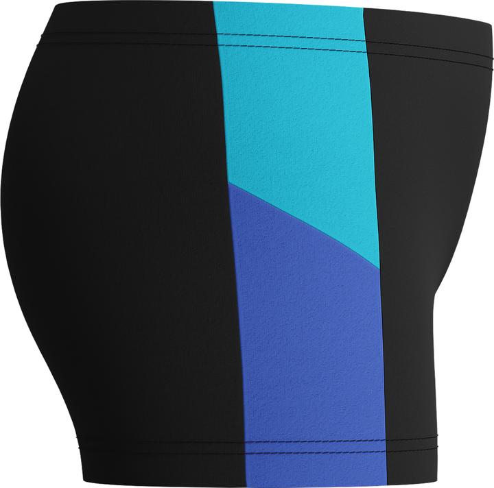 Actual product image Speedo Dive Aquashort (152)