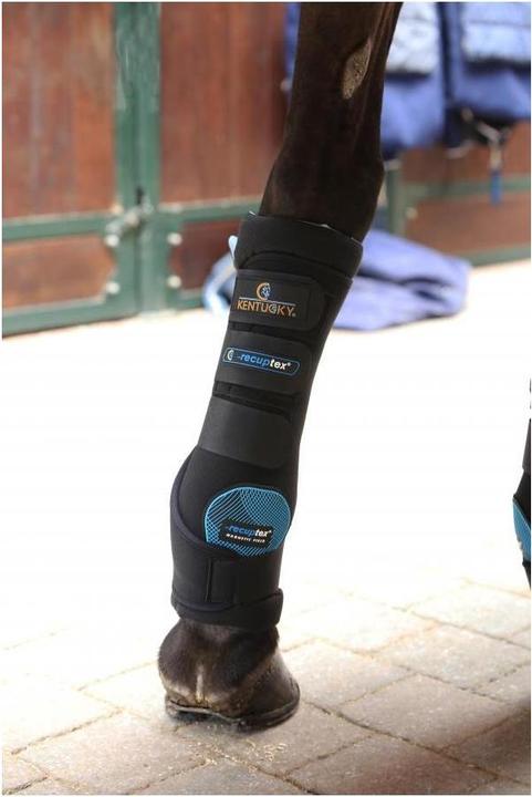 Immagine prodotto Kentucky Horsewear Ghette stabili Magnet Recuptex, coppia