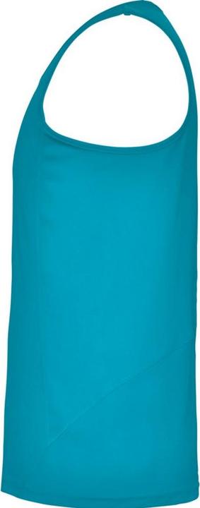Actual product image Alpinia Mens Andre Sports Vest Top (L)