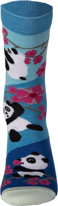 Actual product image United Oddsocks Bamboozle (pack of 3, 37 - 42)