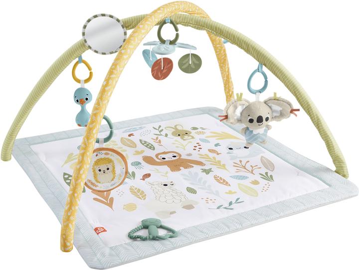 Fisher-Price Simplement des sens