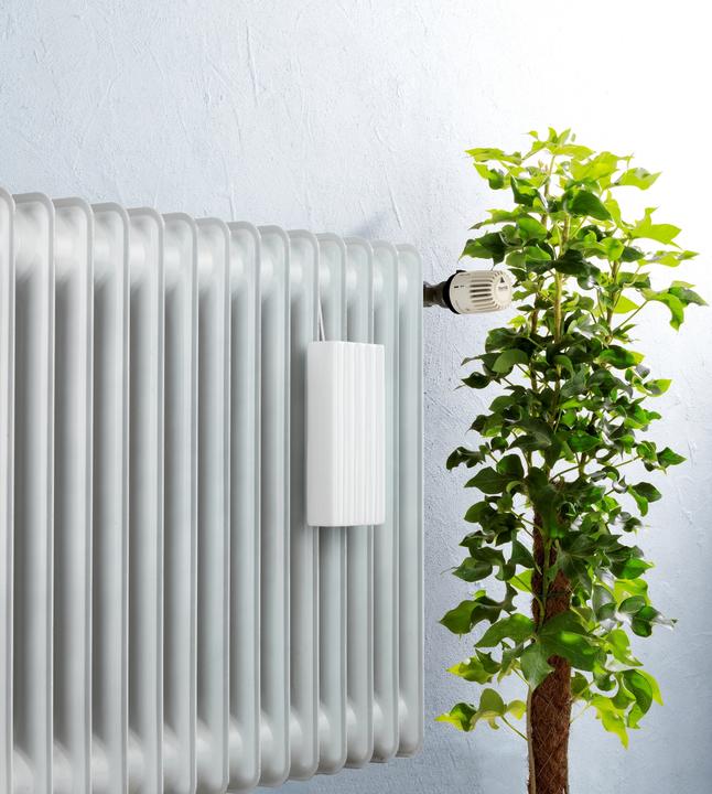 Immagine prodotto Wenko Linien (80 m²)