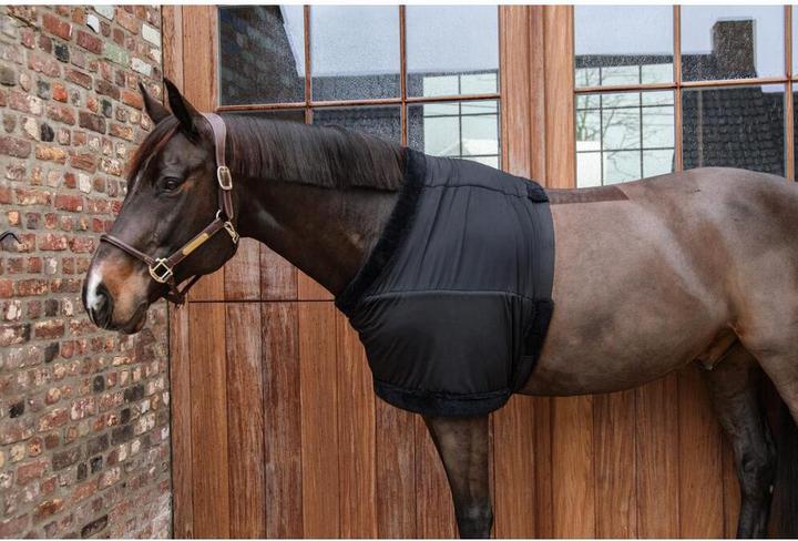 Actual product image Kentucky Horsewear Chest protector
