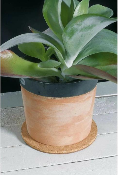 Actual product image Colibri Trivet (1 x, Pan coaster)