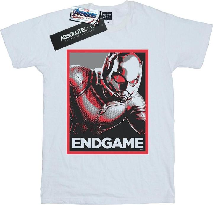 Avengers Endgame AntMan Poster TShirt (4XL)