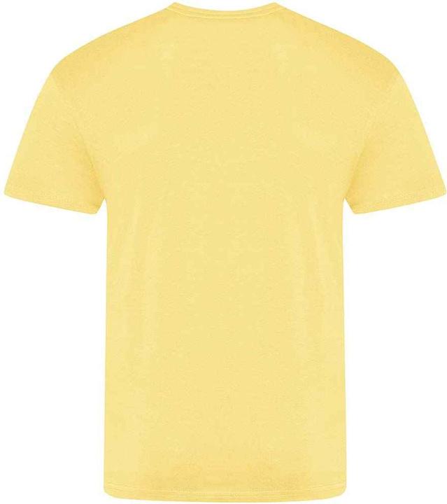 Actual product image Awdis The 100 TShirt (L)
