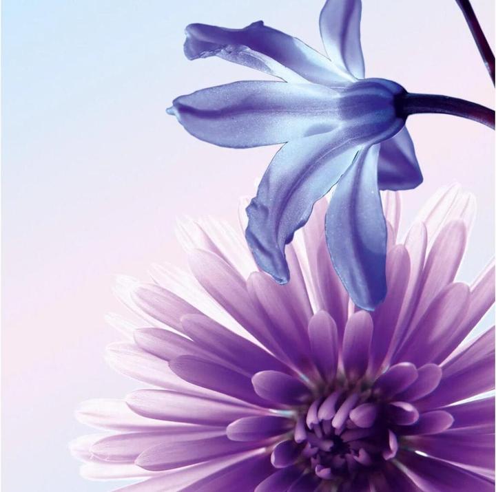 Produktbild Sigel Design-Papier (90 g/m², 50 x)