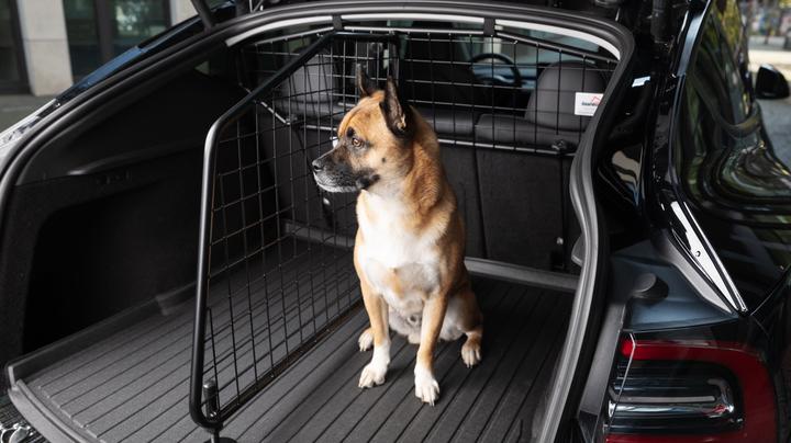 Produktbild Guardsman Hundetrenngitter für das Tesla Model Y