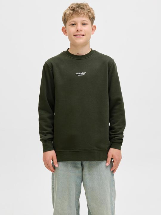 Actual product image Jack & Jones Sweatshirt Junior Sweatshirt (164)