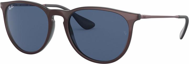 Ray Ban Erika