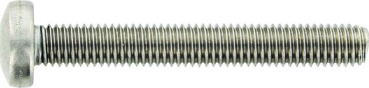 Actual product image OK-Line Flachkopfschr. TX30, A2, M6x55 (200 Screws per piece)
