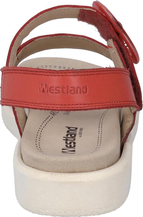 Actual product image Westland 25408-409 (39)