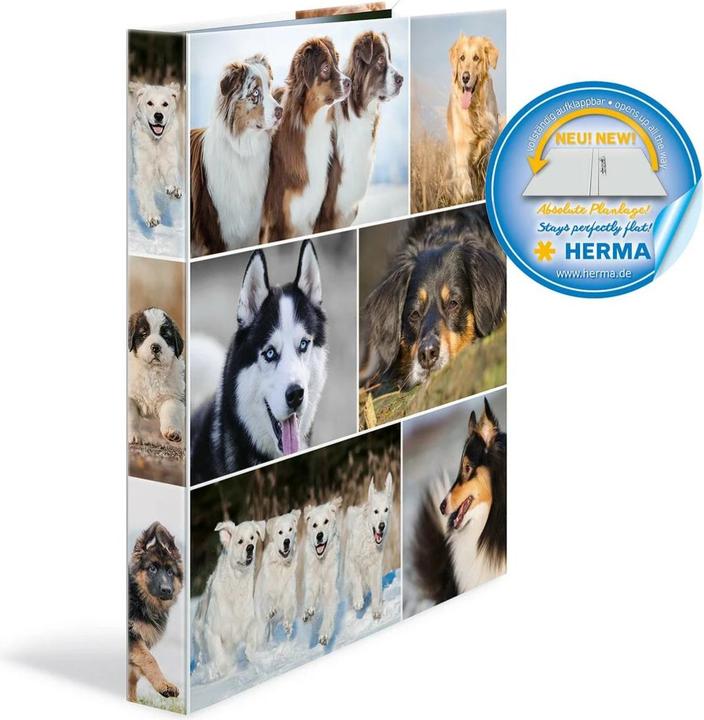 Produktbild HERMA Ringbuch A4 Motiv (A4, 35 mm, 1 Stück)