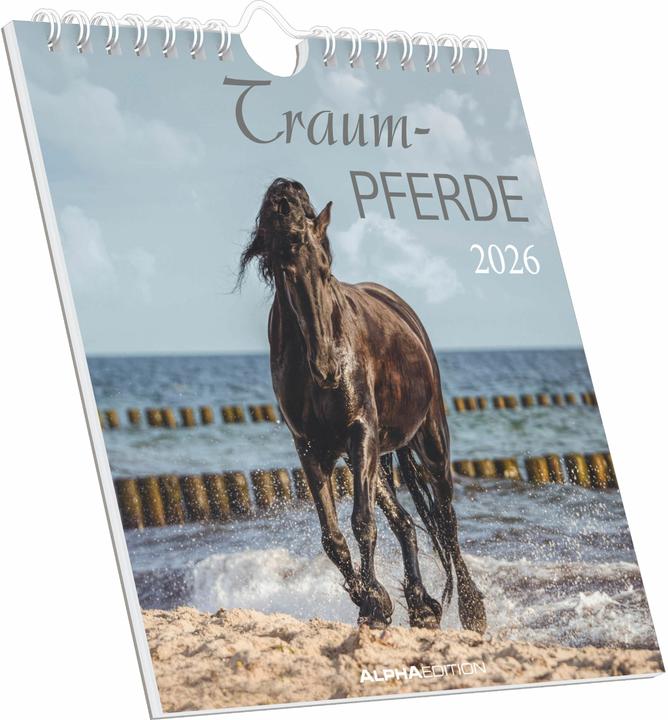 Immagine prodotto Traumpferde2026-Postkartenkalender16x17cm-Horses-zumAufstellenoderAu (16 x 17 cm, Tedesco)