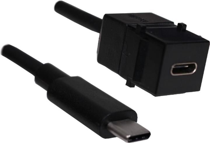 Actual product image Bachmann USB 3.1 Type C Keystone Module (0.50 m, USB 3.1)