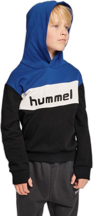 Image du produit hummel Hoodie Morten (104)