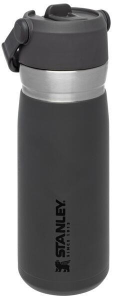 Actual product image Stanley 1913 IceFlow (0.65 l)
