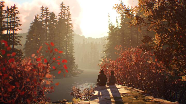 Produktbild Square Enix Life is Strange 2 PS4 (PS4, DE)