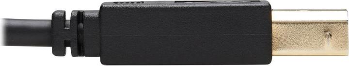 Immagine prodotto Eaton Kit cavo KVM HDMI - 4K HDMI USB 2.0 3.5mm Audio M/M Nero 10 ft. 3.05m