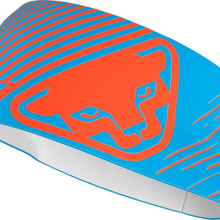 Dynafit Graphic Performance Stirnband Unisex
