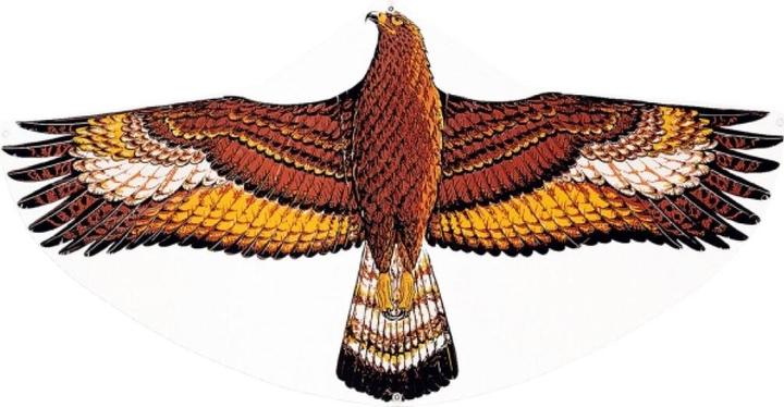 Günther Flugspiele Steinadler