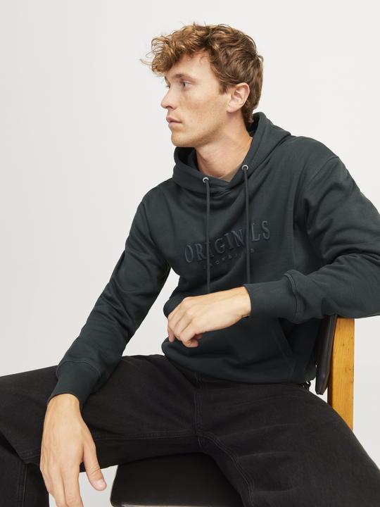 Produktbild Jack & Jones Jorfrederiksberg Sweat Hood Sn (XS)
