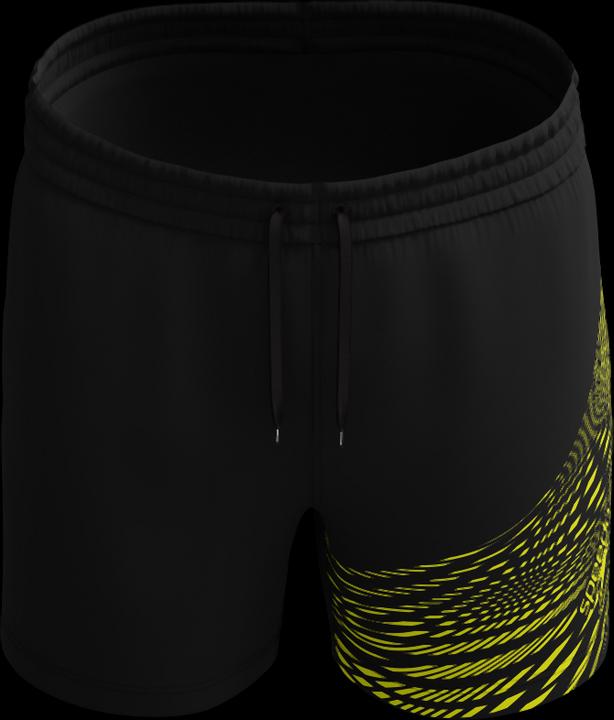 Speedo Medley Logo 16" Watershort