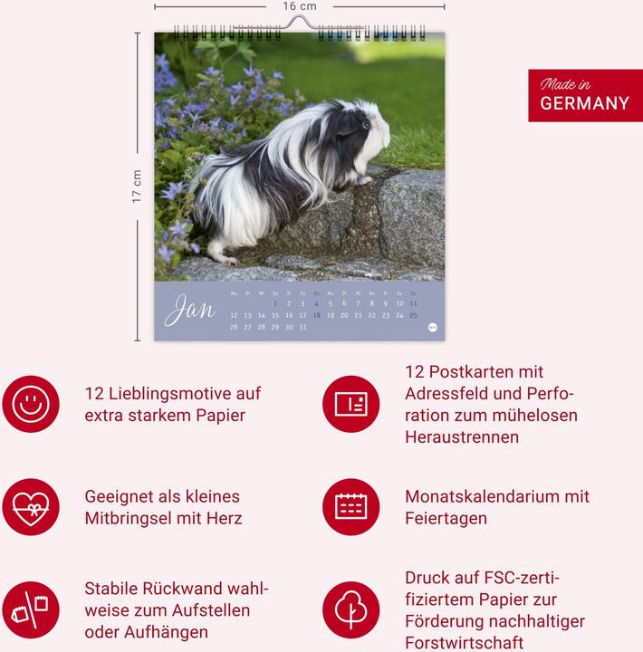 Produktbild Kuschelige Meerschweinchen Postkartenkalender 2026 (Deutsch)