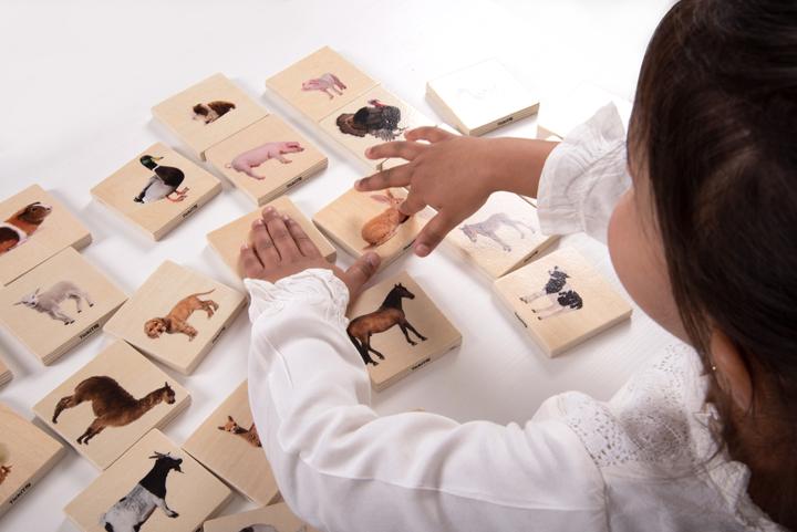 Image du produit TickiT Jeu de paires d'images d'animaux domestiques (Mémo) en bois (28 pièces) (Français, Allemand, Anglais, Italien)