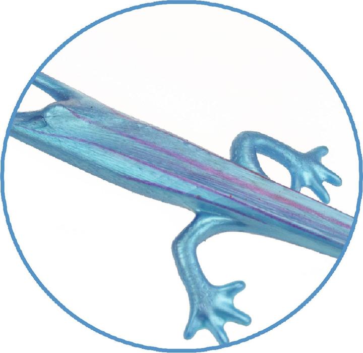 Actual product image Toi-Toys Stretchy Frog / Lizard