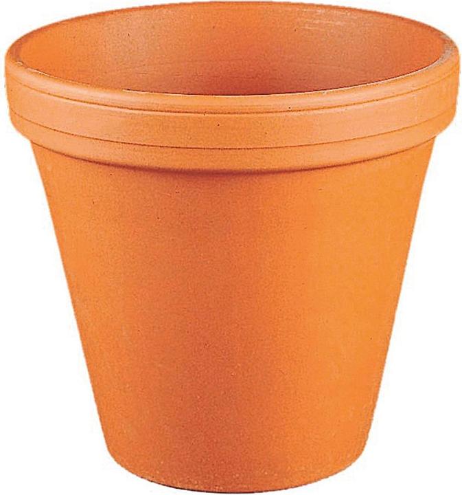 Actual product image Spang Flowerpot (20.50 cm)